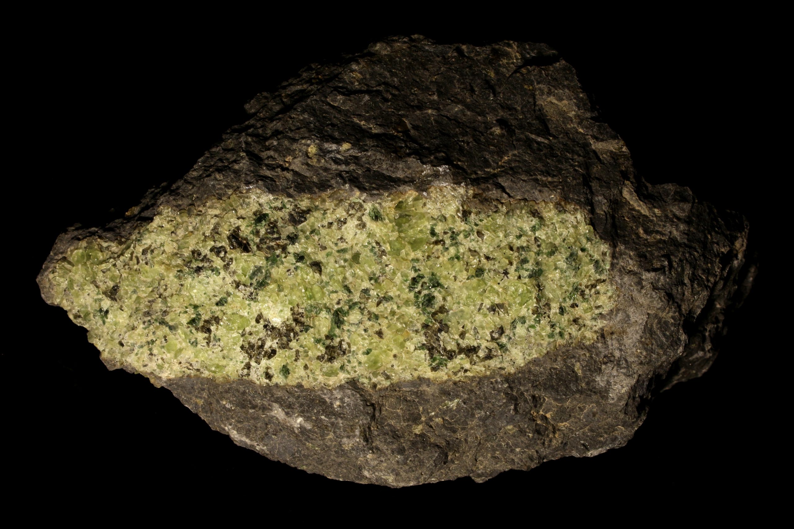A peridotite xenolith is a rock with bright green coarse crystals that are embedded in a very smooth, fine-grained gray rock matrix.