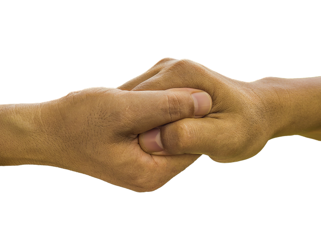 Photo of palm in palm hand shake