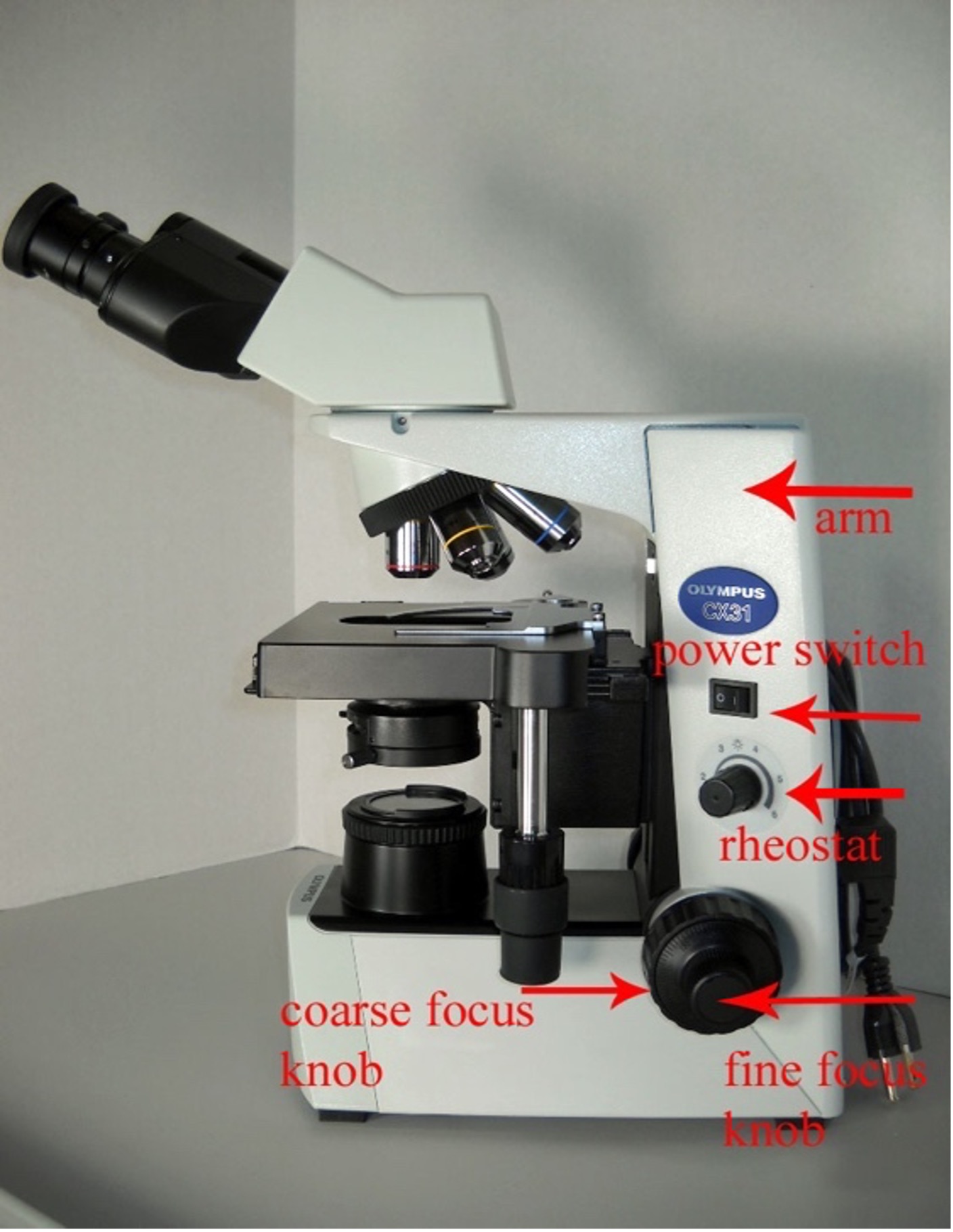 condenser adjustment knob microscope