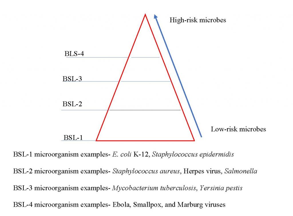 BSL Levels