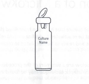 Culture vial