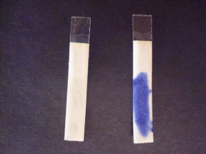 Oxidase positive and negative results