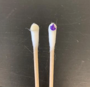 Oxidase test results using an oxidase swab