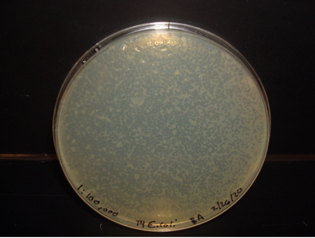 Quantitation plate