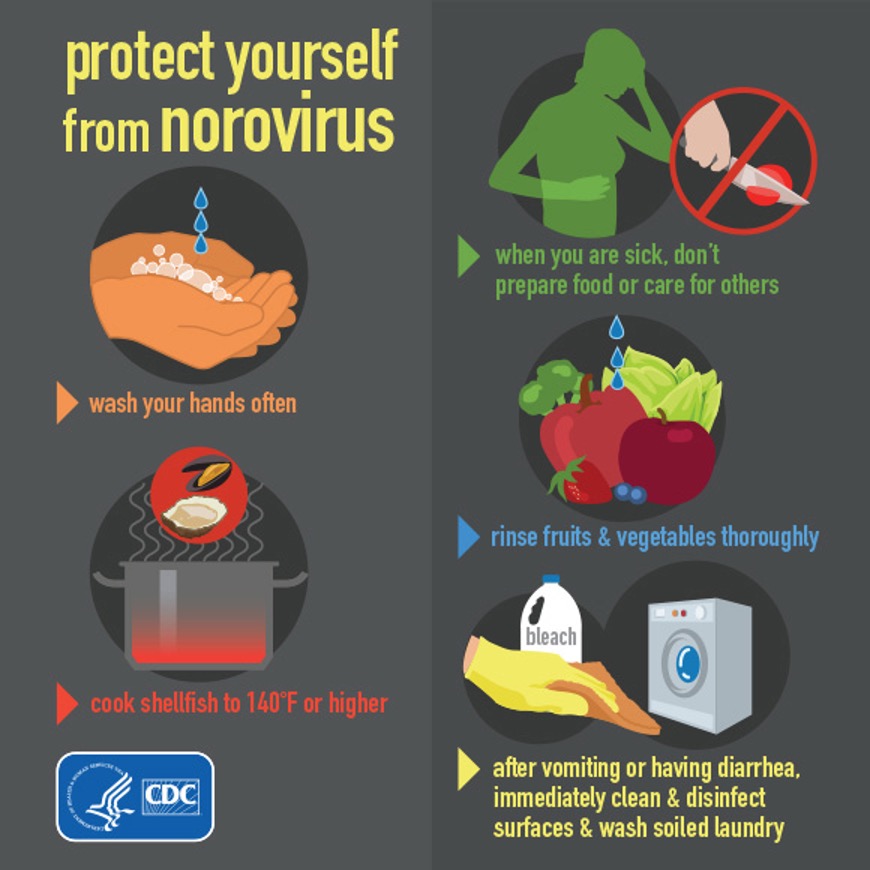 Norovirus