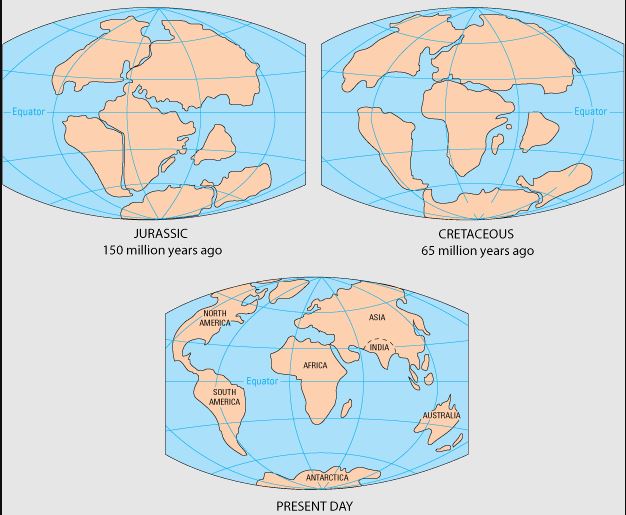 3 World Maps from the Jurassic (150 Ma), Cretaceous (65 Ma), and Present Day, in which continents are breaking up in the Jurassic and India is its own separate continent,. In the Cretaceous the continents are further broken up and India is heading North towards Asia.