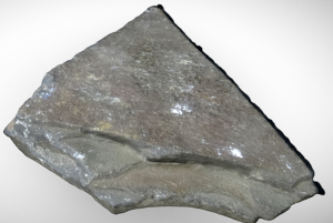 Shale interactive model. Shale is gray and has some layering. It is a fine-grained rock