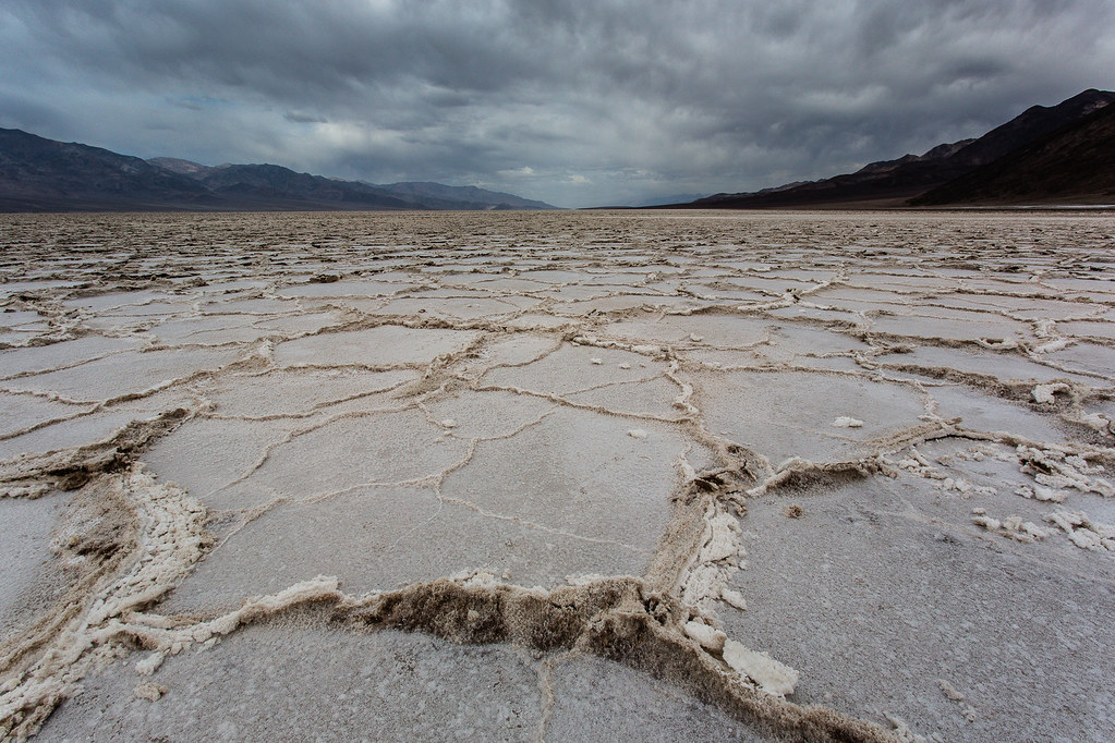 Salt flats where whitish evaporative deposits precipitate in drying conditions.