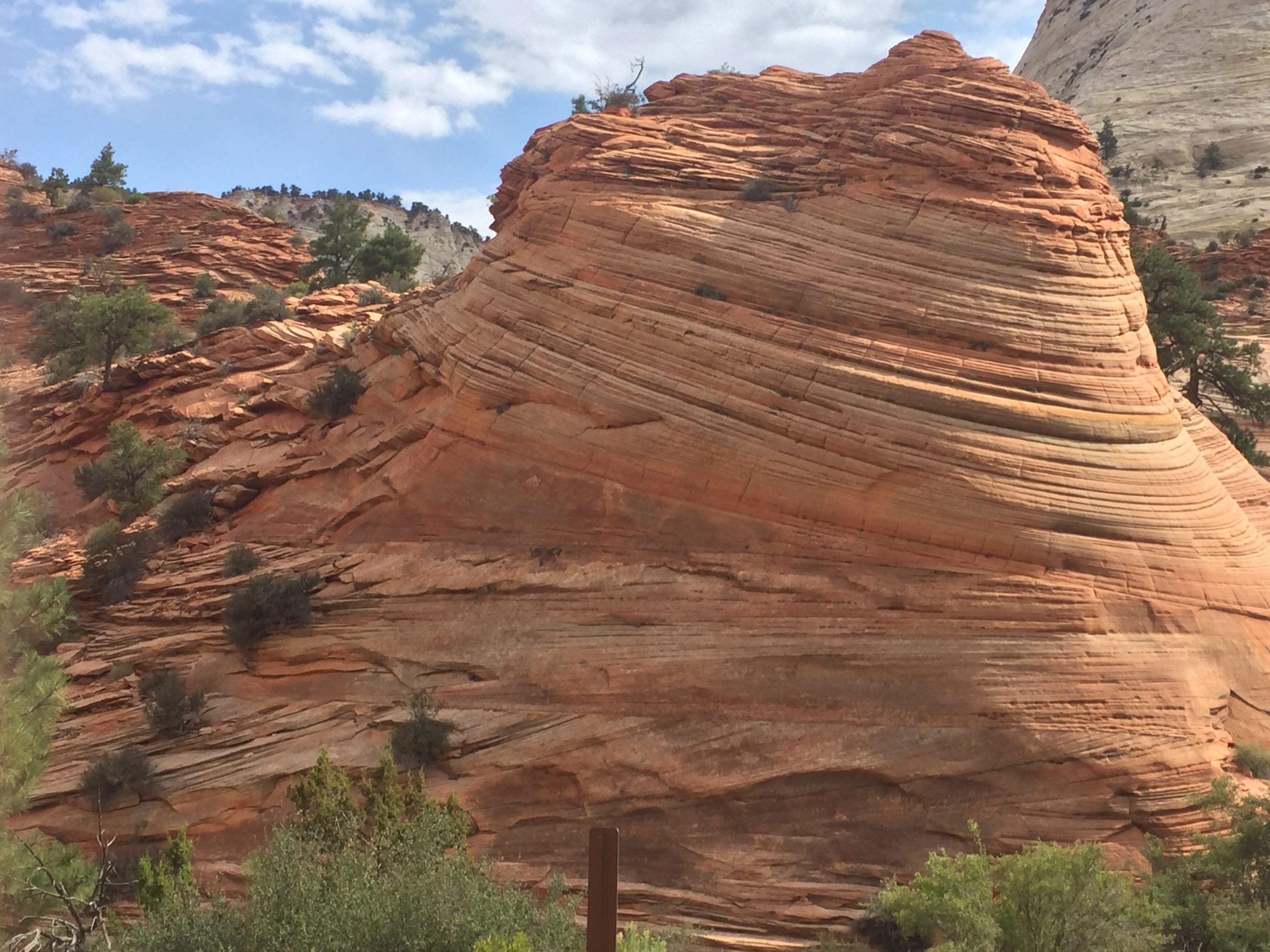 Reddish cross-bedded sedimentary rock layers from Zion National Park