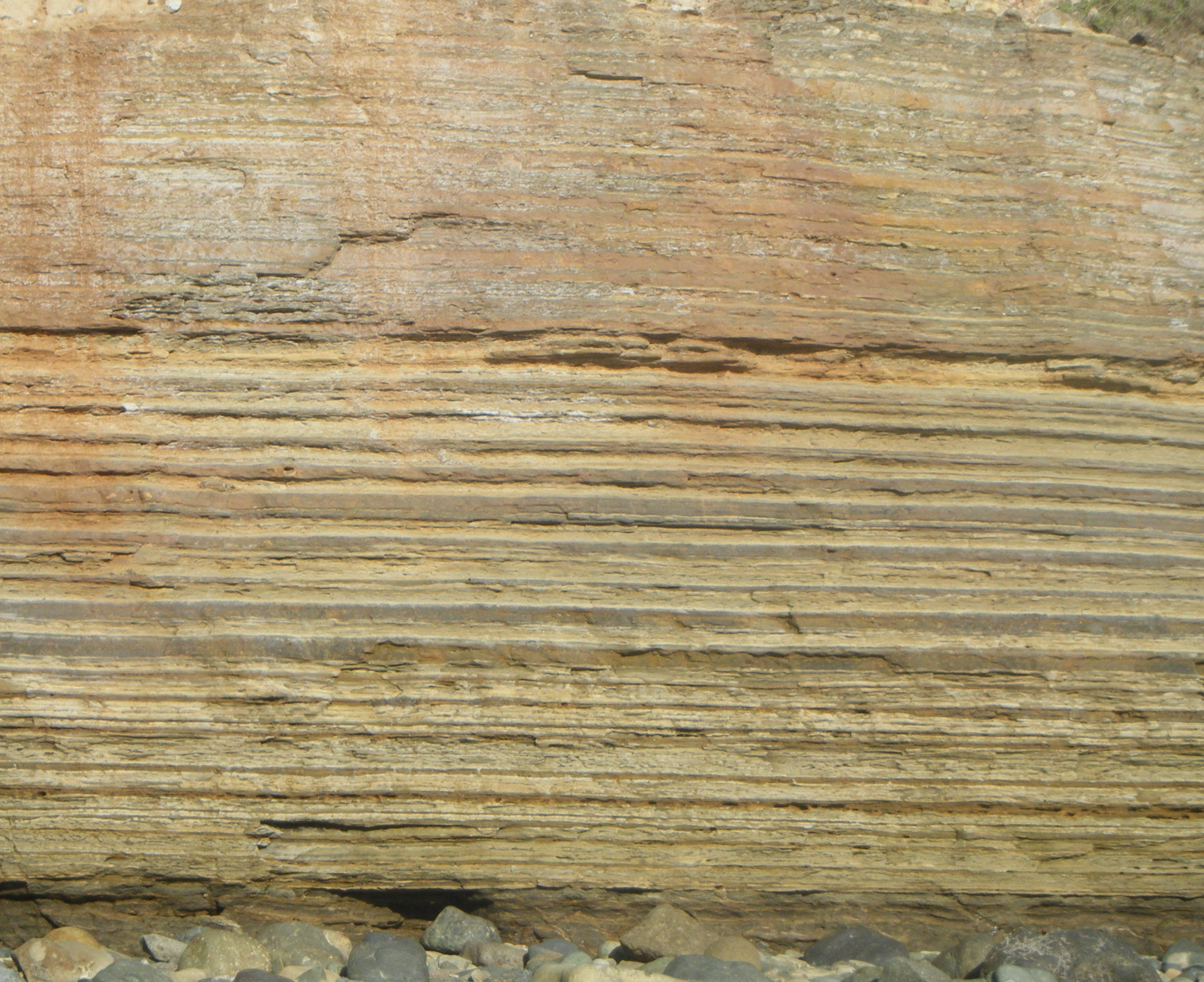 Sedimentary rock layers close up
