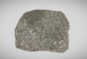 Gray porphyritic rock with gray-white large crystals in dark gray matrix
