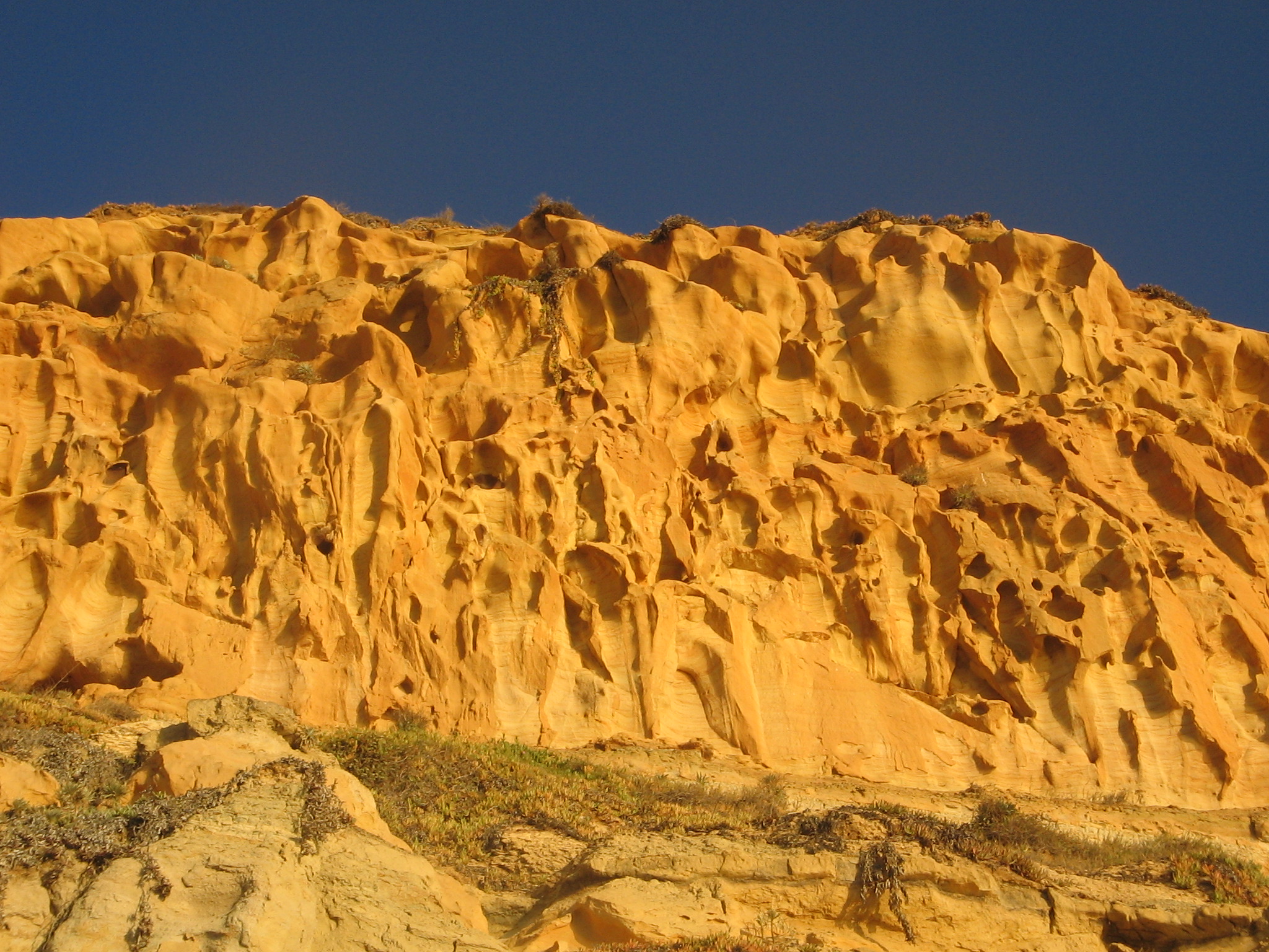 Sandstone cliff formation near a beach in San Diego showing evidence of physical weathering.