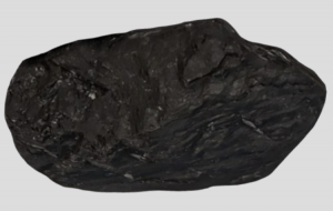 Coal Interactive Model