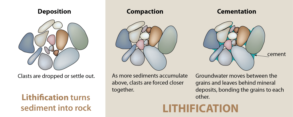 Deposition is the settling of clasts, compaction is the movement of clasts closer together, and cemention is the bonding of the clasts together.