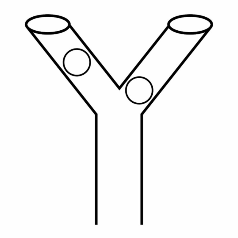 A Y-shaped chute, with two balls in each side of the top.