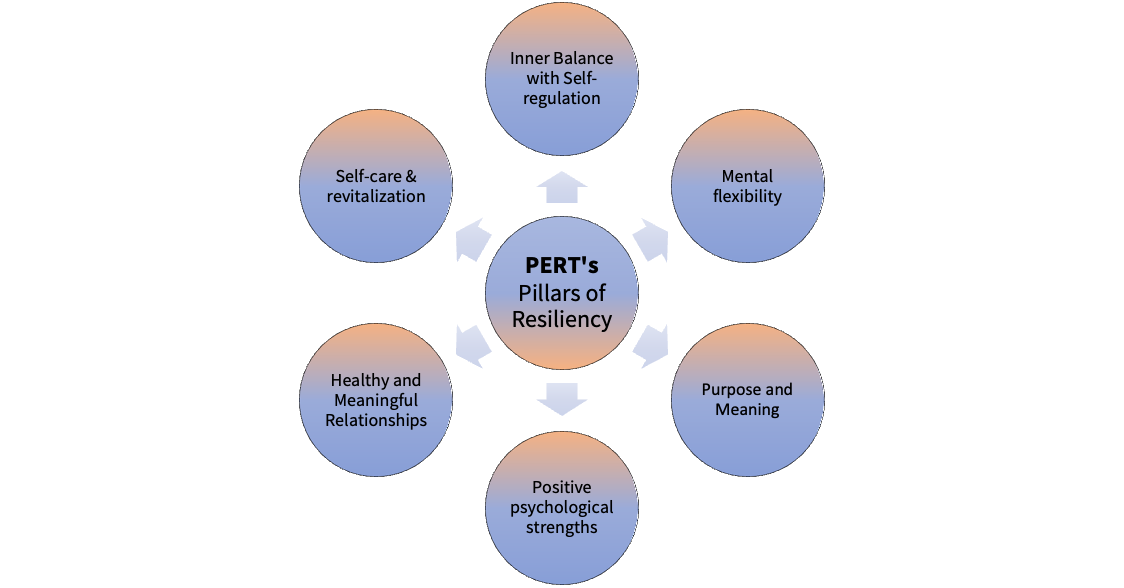 The Six Pillars of Resiliency