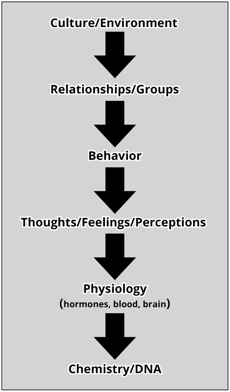 Culture/Environment, Relationships/Groups, Behavior, Thoughts/Feelings/Perceptions, Physiology (hormones, blood, brain), Chemistry/DNA