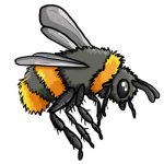 Image of a bee