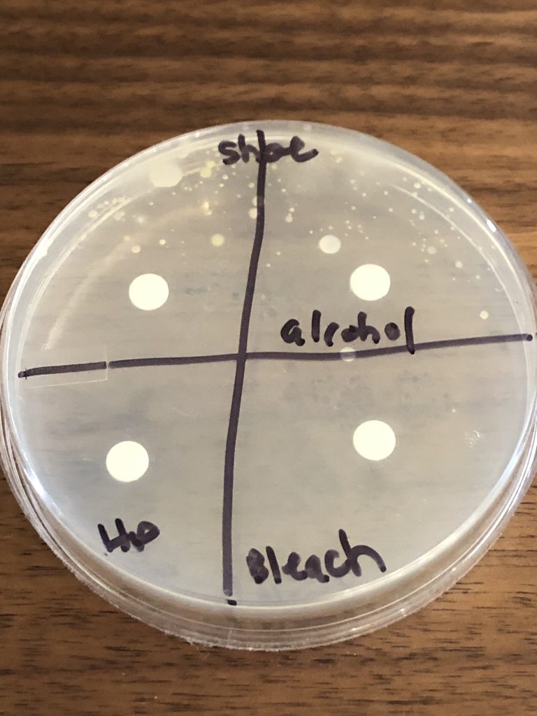 Image of shoe controlling growth plate