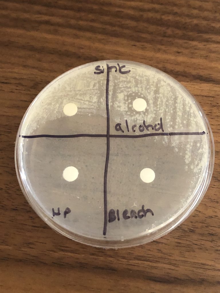 Controlling the growth of microorganisms sink plate