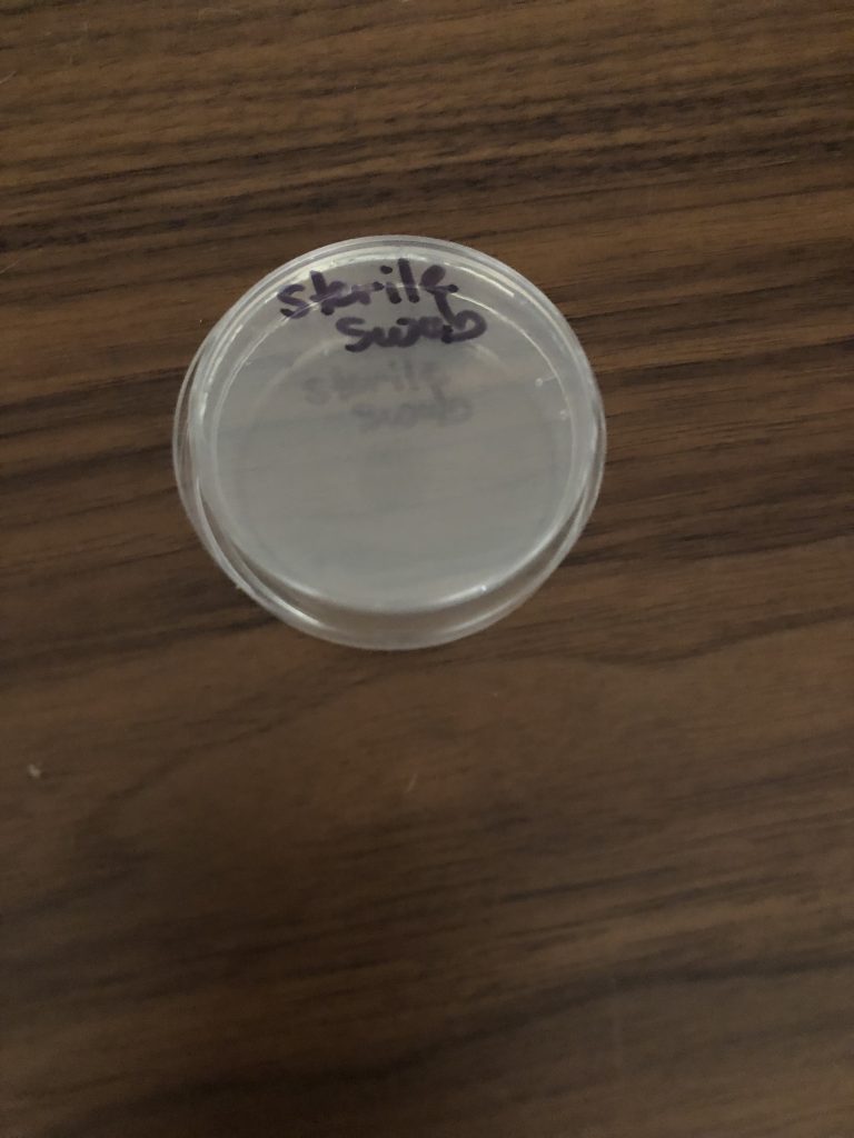 Image of plate inoculated with a sterile swab