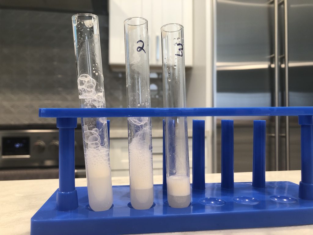 Substrate concentration experiment results