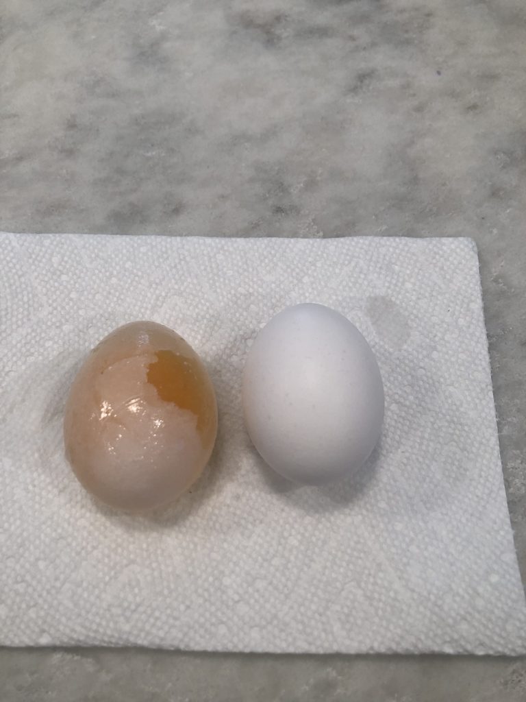 Image of egg soaked in sugar solution for 24 hours