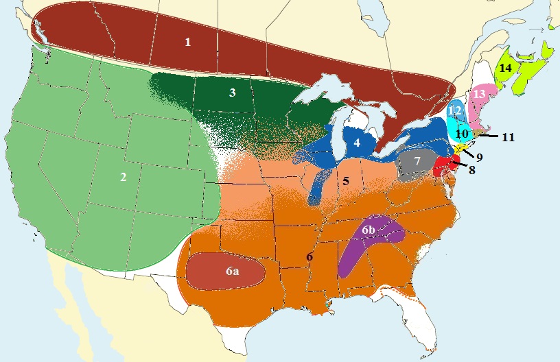 Map of the US with different colors to indicate dialects.