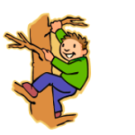 A boy climbing a tree