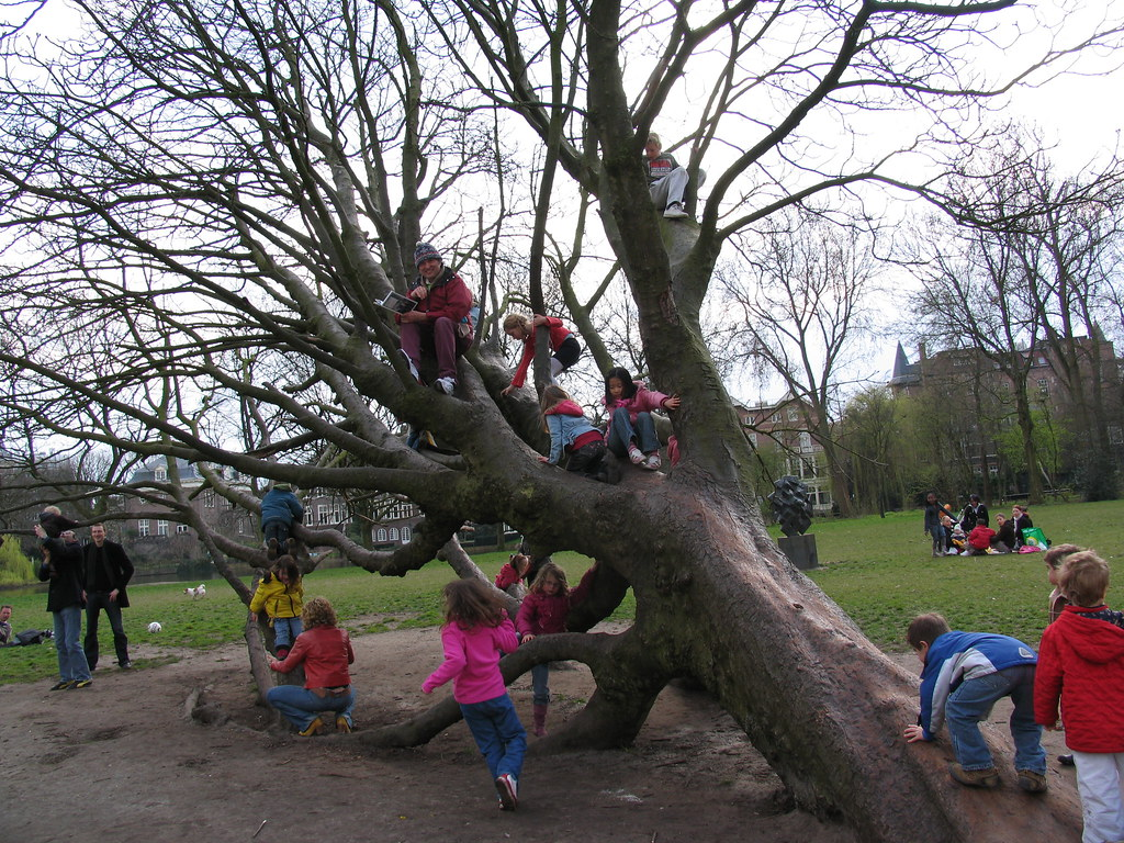 children play on a collapsed tree, roots exposed