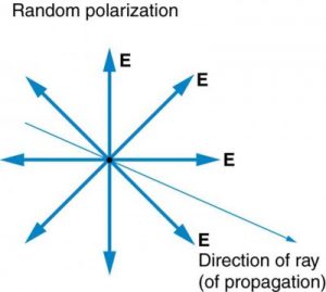 Figure 2.3.11. The slender arrow represents a ray of unpolarized light. The bold arrows represent the direction of polarization of the individual waves composing the ray. Since the light is unpolarized, the arrows point in all directions.