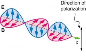 Figure 2.3.12. The polarization direction of plane polarized light is defined as the vibration direction of the electric vector E.