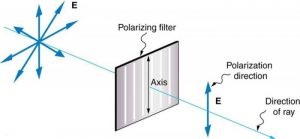 Figure 2.3.14. A polarizing filter has a polarization axis that acts as a slit passing through electric fields parallel to its direction. The direction of polarization of an EM wave is defined to be the direction of its electric field.
