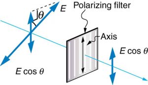 Figure 2.3.18. A polarizing filter transmits only the component of the wave parallel to its axis, Ecosθ , reducing the intensity of any light not polarized parallel to its axis.