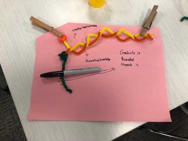 construction paper with pipe cleaners, and clothespins attached. Handwriting reads Creativity in Biomedical research