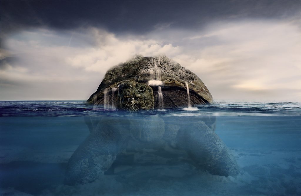 Turtle with an Island on shell