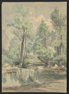 American Literature Before 1860 book cover