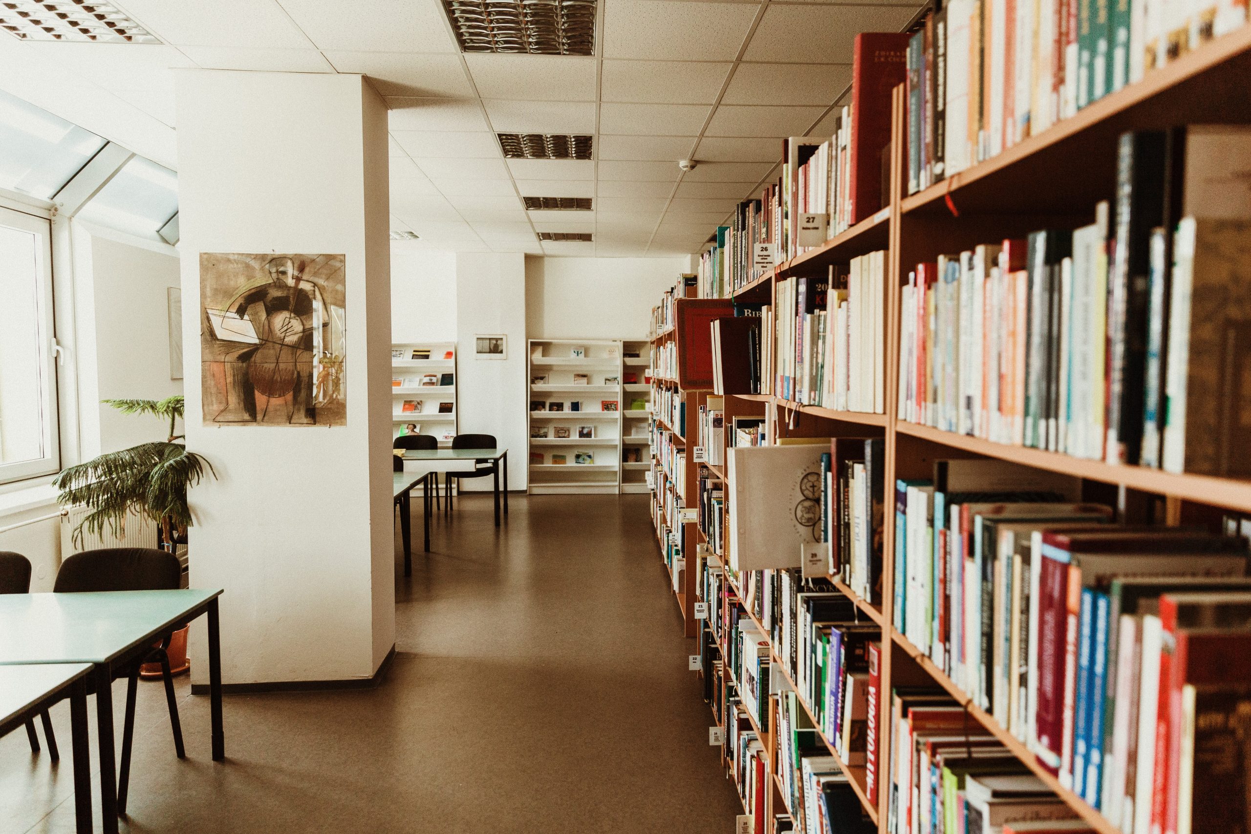 A long row of book shelves holding library books, with tables to the left of the isle.