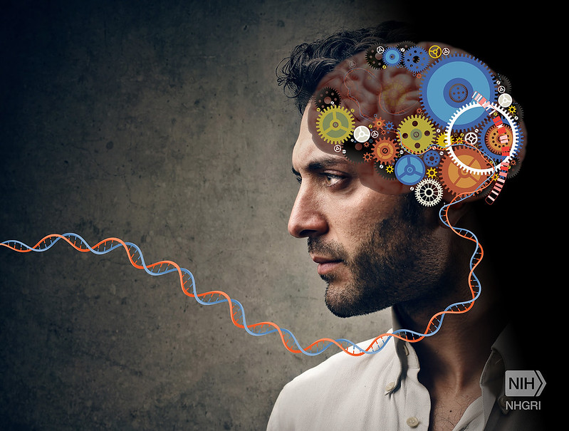 A side profile of a man with an illustration of gears on a brain superimposed over his head.