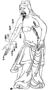 An acupuncture chart from the Ming Dynasty: The Pericardium Meridian of Hand-Jueyin, a 2-dimensional acupuncture drawing.