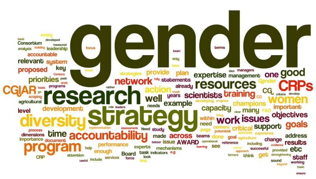 A "tag cloud" consisting of different sized words, the largest being "gender". Some of the smaller words include "strategy", "research", "diversity", and "women".