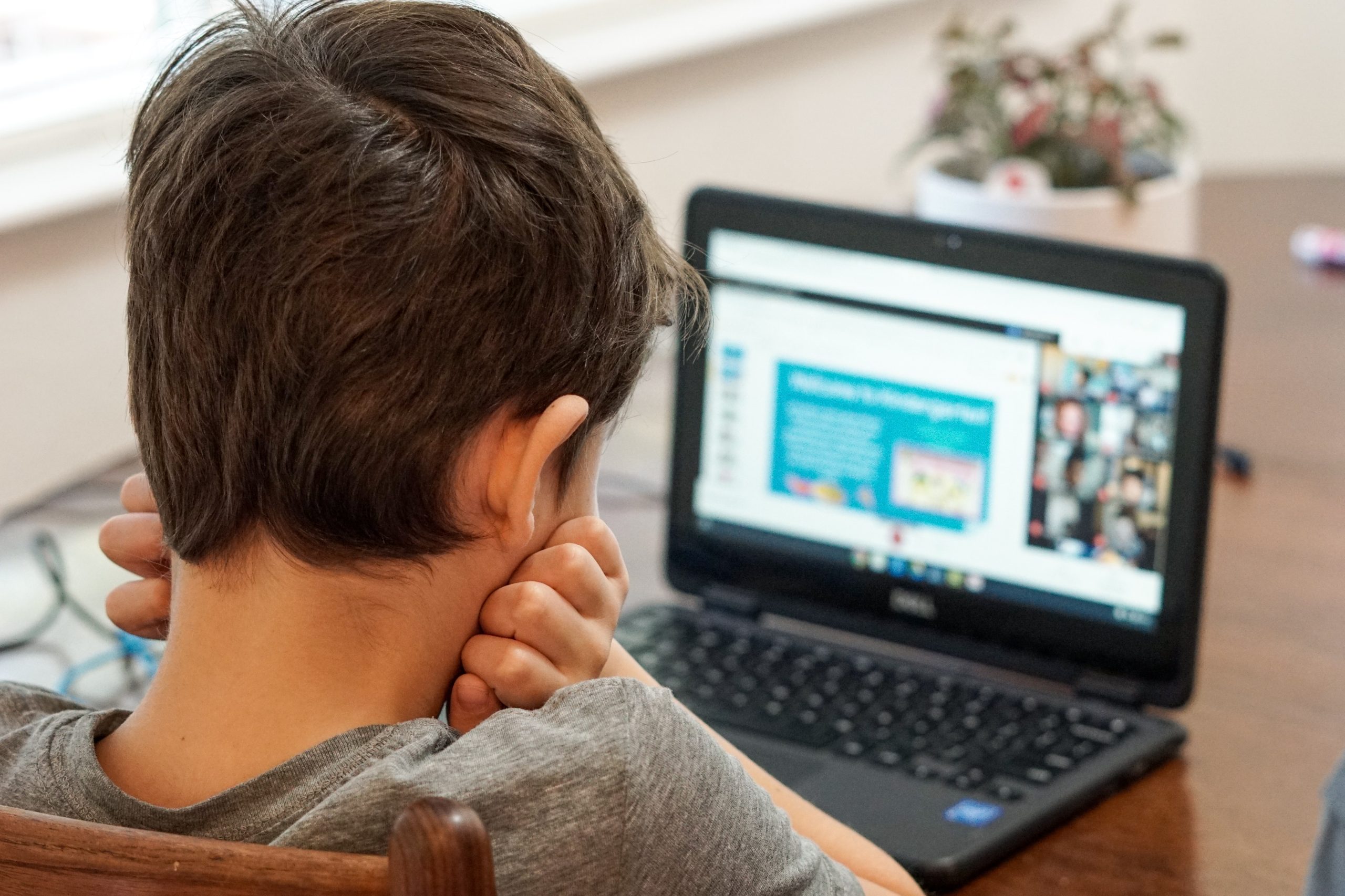 A boy in gray shirt using a laptop to join an online or virtual class.
