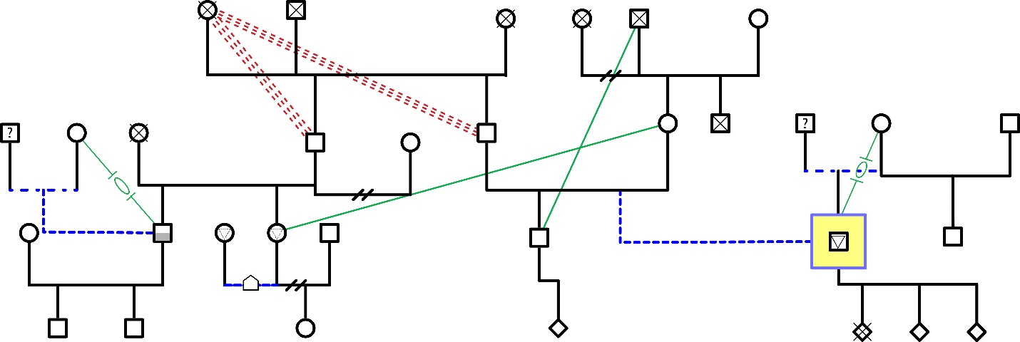 A Genogram showing second marriages, divorces, deaths, adoptions, repaired relationships, hostile relationships, and same sex families.