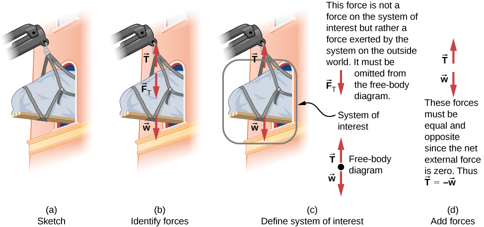 This figure shows the development of the free body diagram of a piano being lifted and passed through a window. Figure a is a sketch showing the piano hanging from a crane and part way through a window. Figure b identifies the forces. It shows the same sketch with the addition of the forces, represented as labeled vector arrows. Vector T points up, vector F sub T points down, vector w points down. Figure c defines the system of interest. The sketch is shown again with the piano circled and identified as the system of interest. Only vectors T up and w down are included in this diagram. The downward force F sub T is not a force on the system of interest since it is exerted on the outside world. It must be omitted from the free body diagram. The free body diagram is shown as well. It consists of a dot, representing the system of interest, and the vectors T pointing up and w pointing down, with their tails at the dot. Figure d shows the addition of the forces. Vectors T and w are shown. We are told that these forces must be equal and opposite since the net external force is zero. Thus T is equal to minus w.