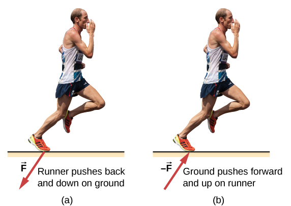 Figure a shows the picture of a runner, labeled, runner pushes back and down on ground. An arrow labeled F from his foot points down and left. Figure b is labeled, ground pushes forward and up on runner. An arrow labeled –F points up and right, towards his foot.