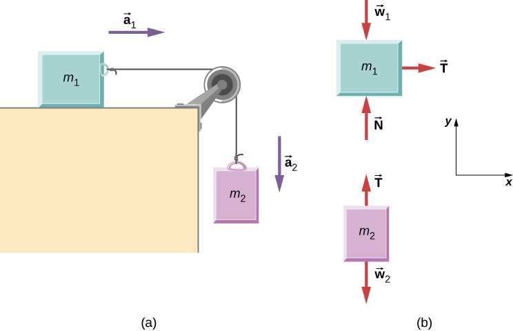 (a) Block m sub 1 is on a horizontal surface. It is connected to a string that passes over a pulley then hangs straight down and connects to block m sub 2. Block m sub 1 has acceleration a sub 1 directed to the right. Block m sub 2 has acceleration a sub 2 directed downward. (b) Free body diagrams of each block. Block m sub 1 has force w sub 1 directed vertically down, N directed vertically up, and T directed horizontally to the right. Block m sub 2 has force w sub 2 directed vertically down, and T directed vertically up. The x y coordinate system has positive x to the right and positive y up.