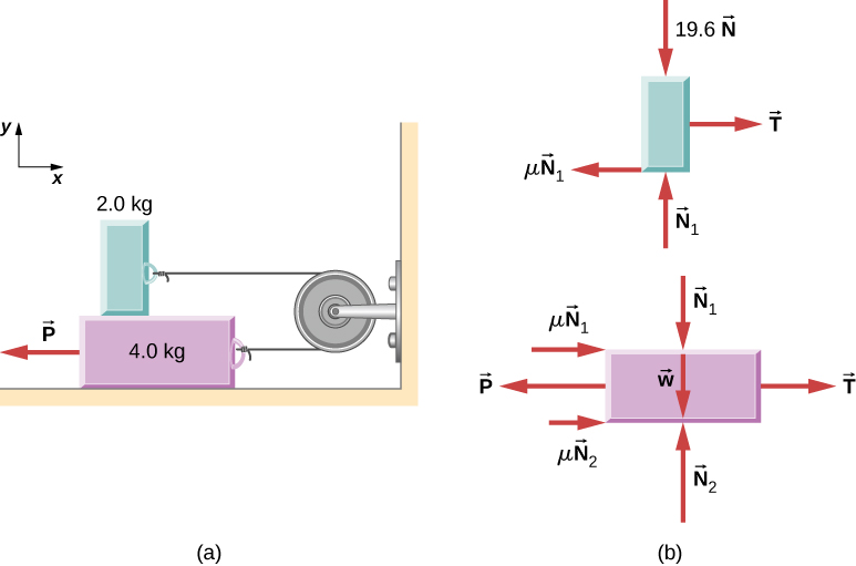 Figure (a) shows an illustration of a 4.0 kilogram block on a horizontal surface and a 2.0 kilogram block resting on top of it. A pulley is connected horizontally to a wall to the right of the blocks. The blocks are connected by a string that passes from one block, over the pulley, and to the other block so that the string is horizontal and to the right of each block. A force P pulls the lower block to the left. An x y coordinate system is shown, with positive x to the right and positive y up. Figure (b) shows the free body diagrams of the blocks. The upper block has forces mu times vector N sub 1 to the left, vector T to the right, 19.6 N vertically down, and vector N sub 1 up. The lower block has forces mu times vector N sub 1 to the right, mu times vector N sub 2 to the right, Vector P to the left, vector T sub i to the right, Vector N sub 1 vertically down, weight w down, and vector N sub 2 up.