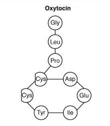 Oxytocin