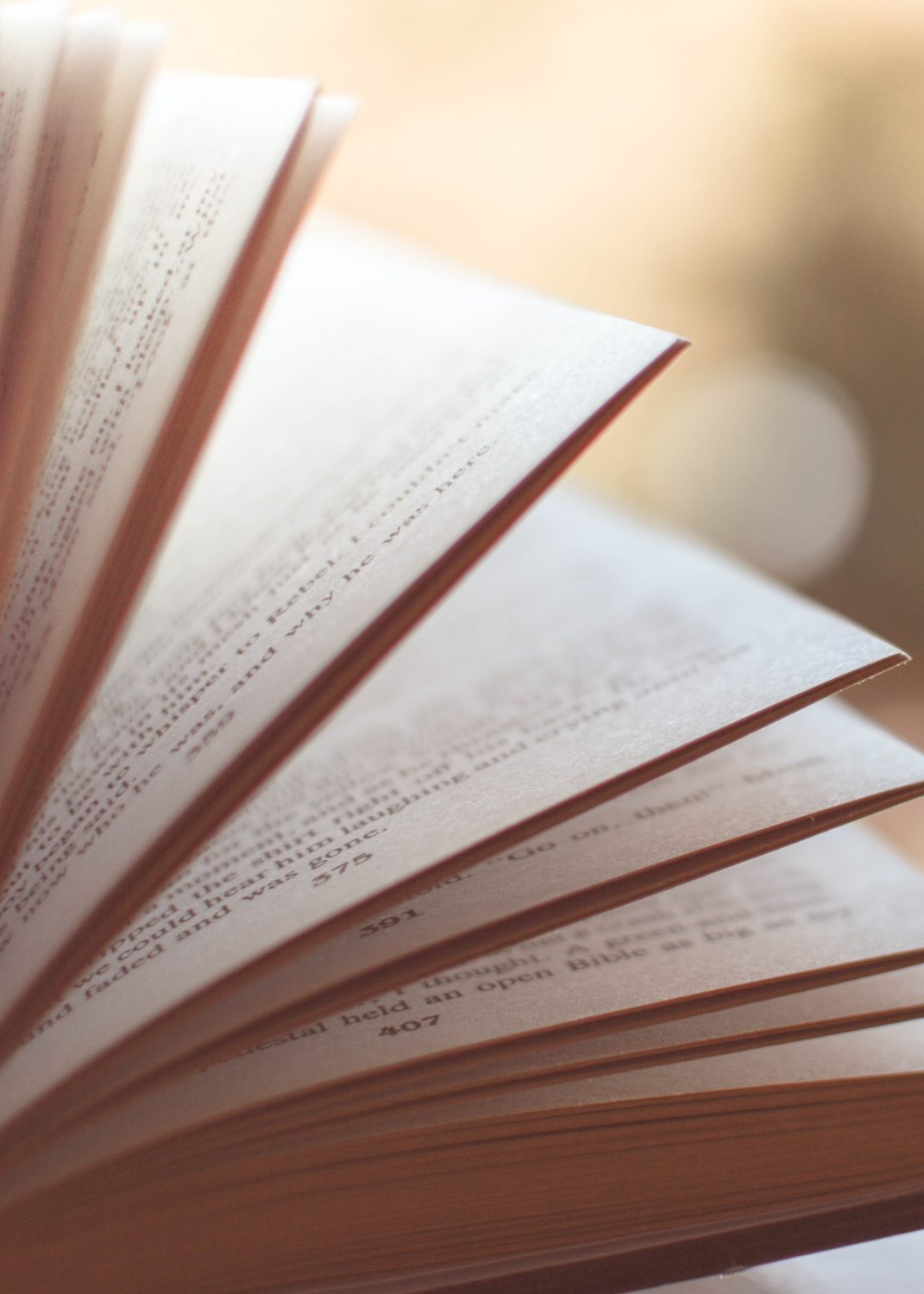 Cover image for An Introduction to Literature