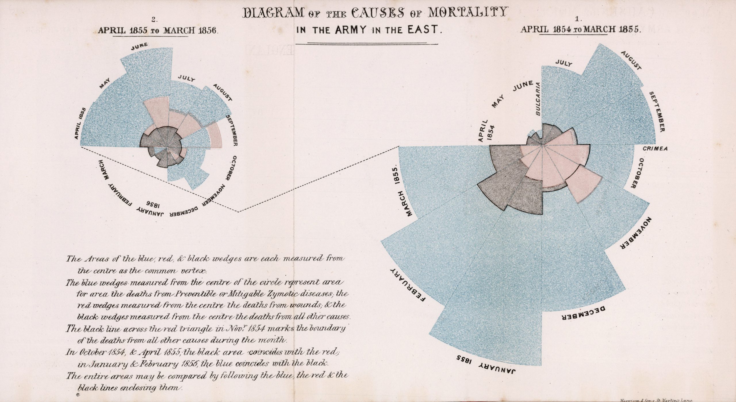 Photo showing diagram of the causes of mortality